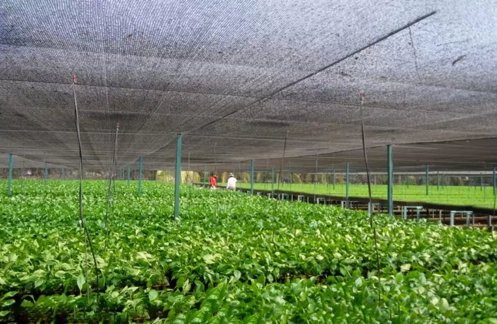 Instalación y Operación de Viveros Jardineria y Mantenimiento HR