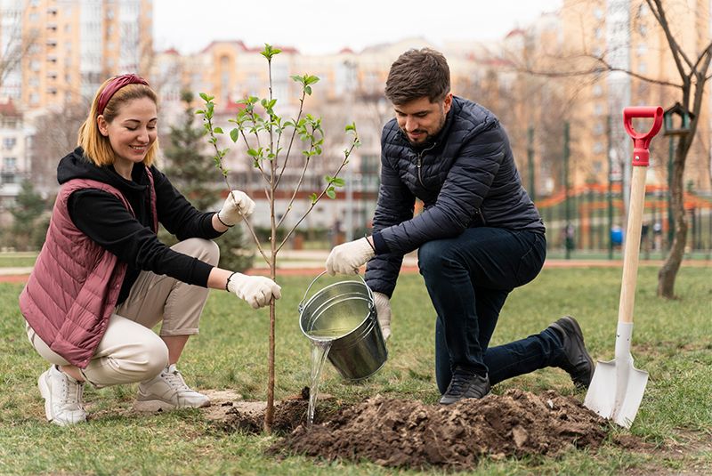 Personas reforestando un parque urbano