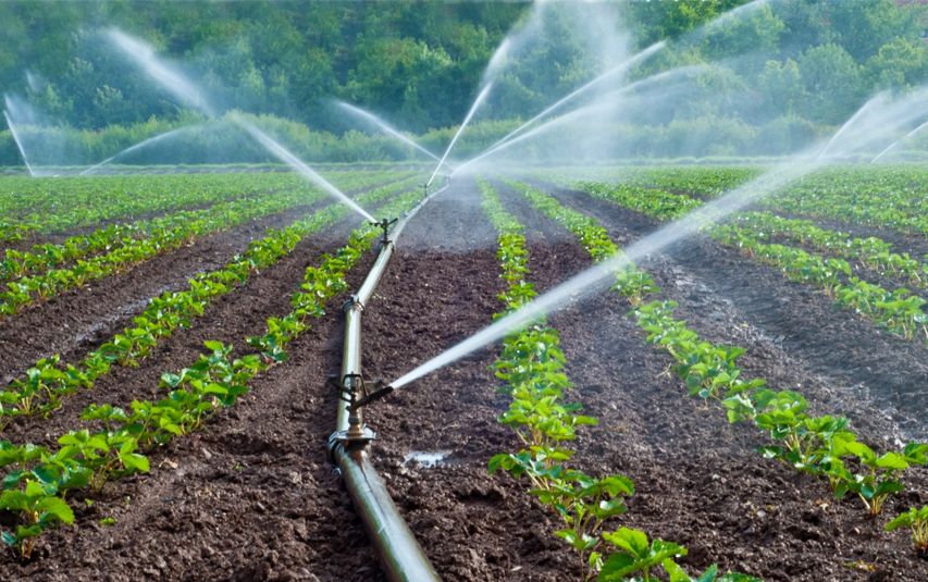 Rociador de plástico automático en  cultivo