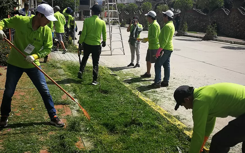 Grupo de personas dando mantenimiento a áreas verdes 