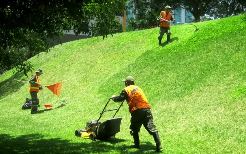 Personas dando mantenimiento a jardín 