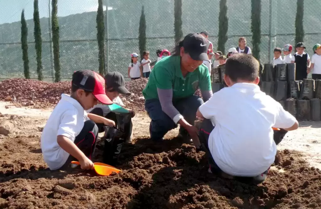 niños reforestando un área