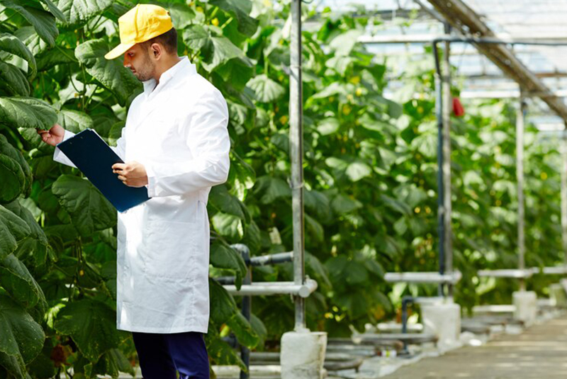 Hombre que esta al cuidado de las plantas 