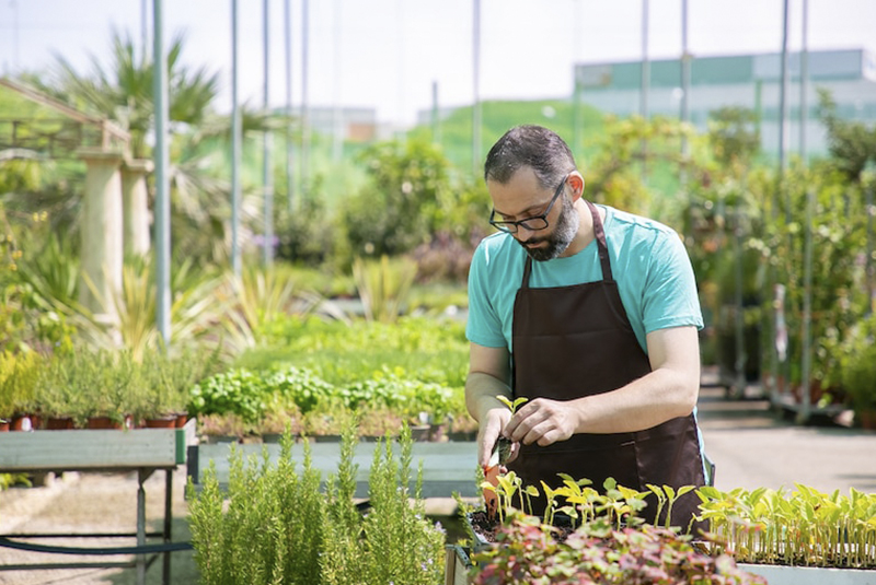 hombre que esta al cuidado del jardin