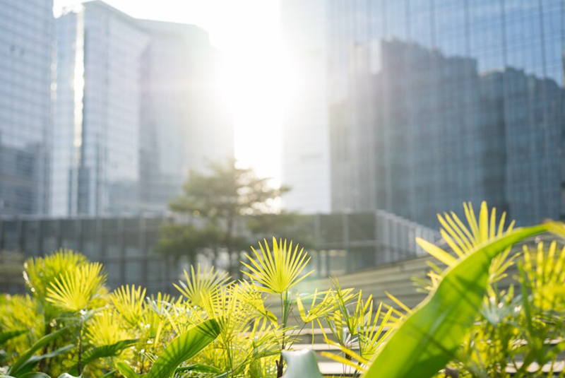 jardín de empresa y se puede apreciar diferentes edificios 