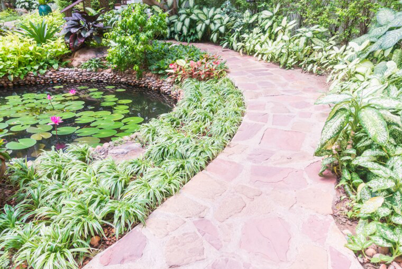 pasillo con jardín que cuenta con un lago y diferentes tipos de plantas 