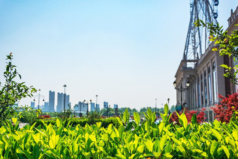 Jardín con vista a la ciudad 