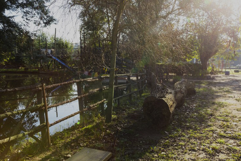 Encharcamiento en jardín 