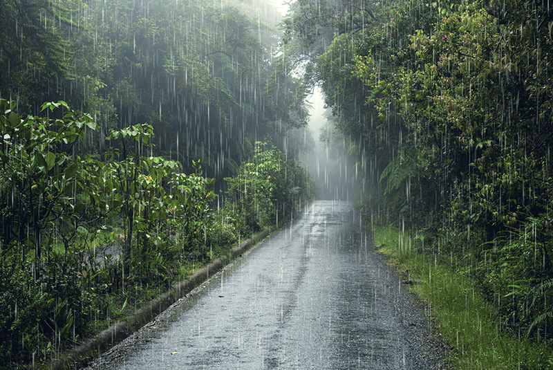 Lluvia en área verde 