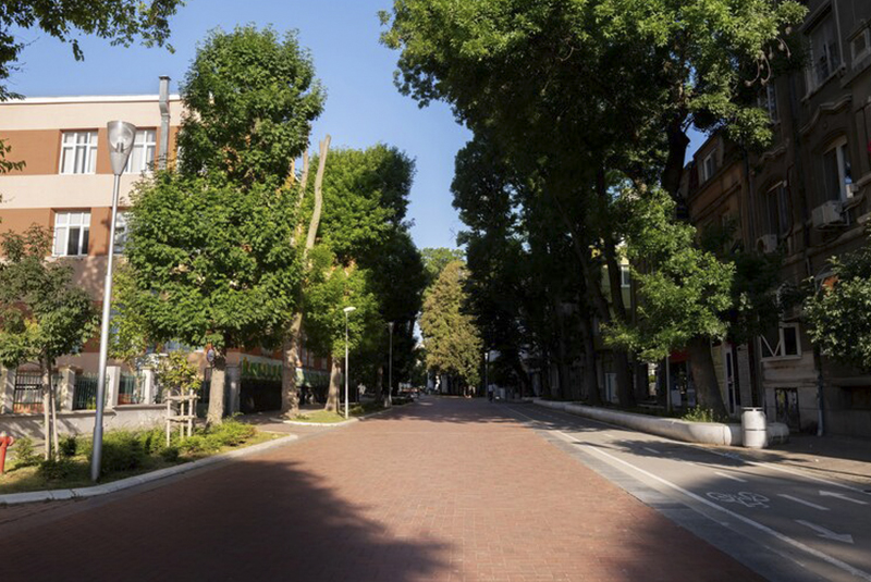 Calle con árboles alrededor 