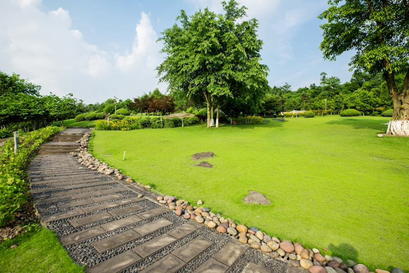 Área verde en verano 