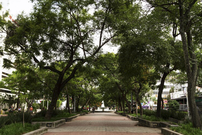 parque en zona urbana 