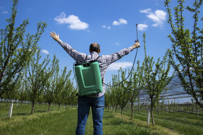 hombre feliz después de terminar de limpiar los arboles 