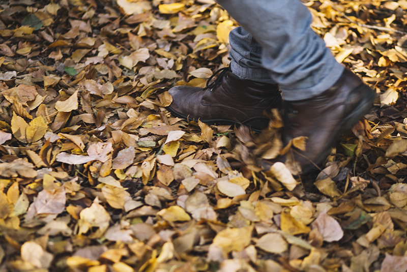 Época del otoño