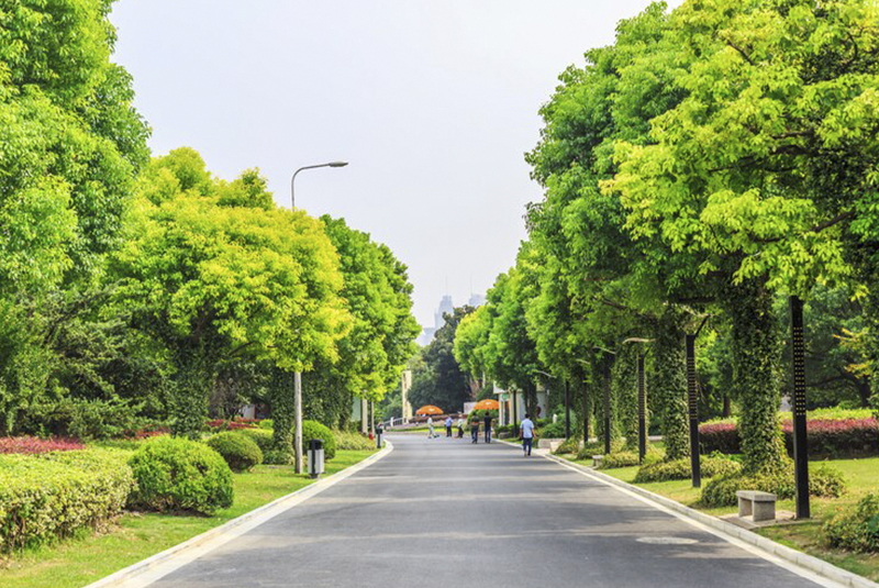 Parque en donde se puede andar en bici 