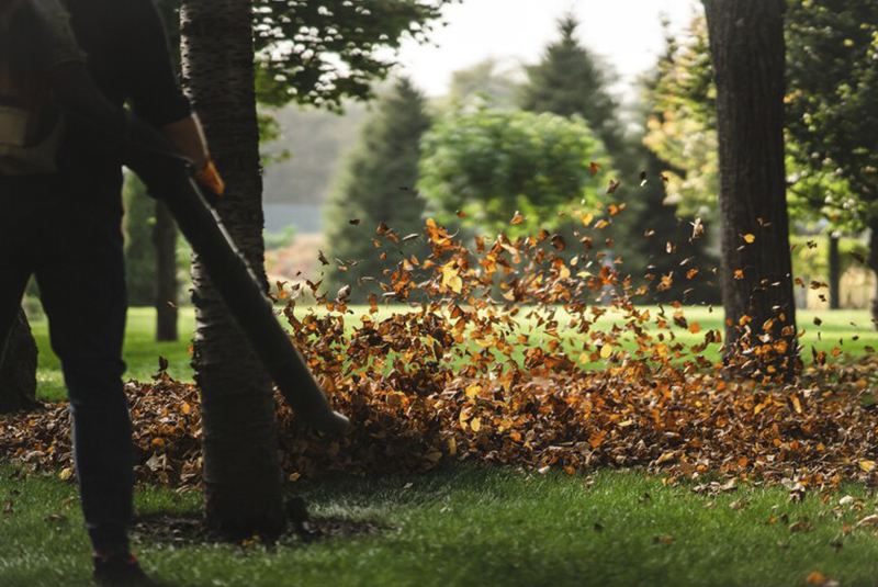 hombre limpiando las hojas del árbol en época de otoño