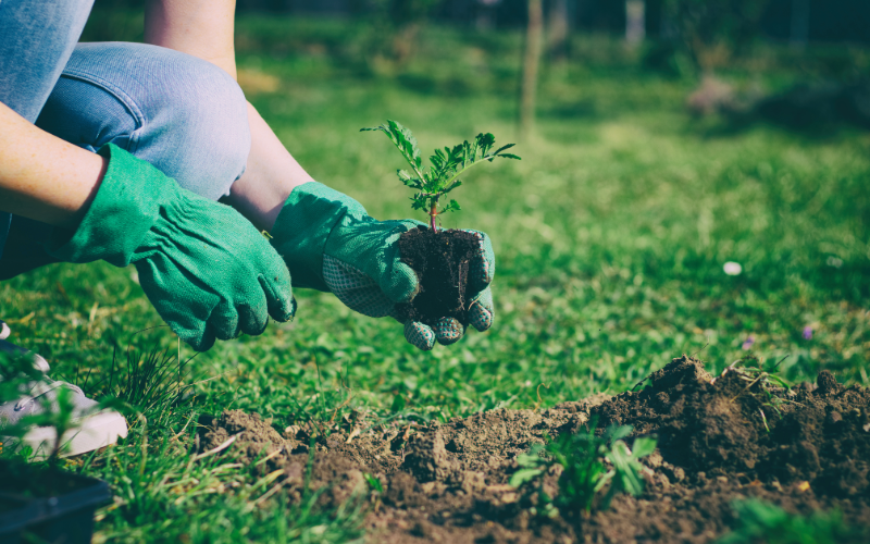 Servicios de HR Jardinería