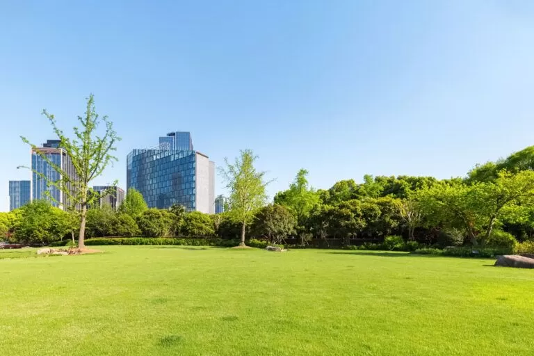 Jardineria en área verde urbana