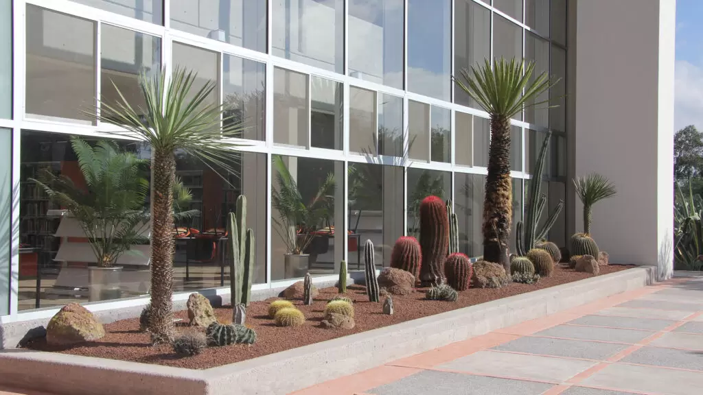 Solución en diseño de jardin para empresas: Jardinera