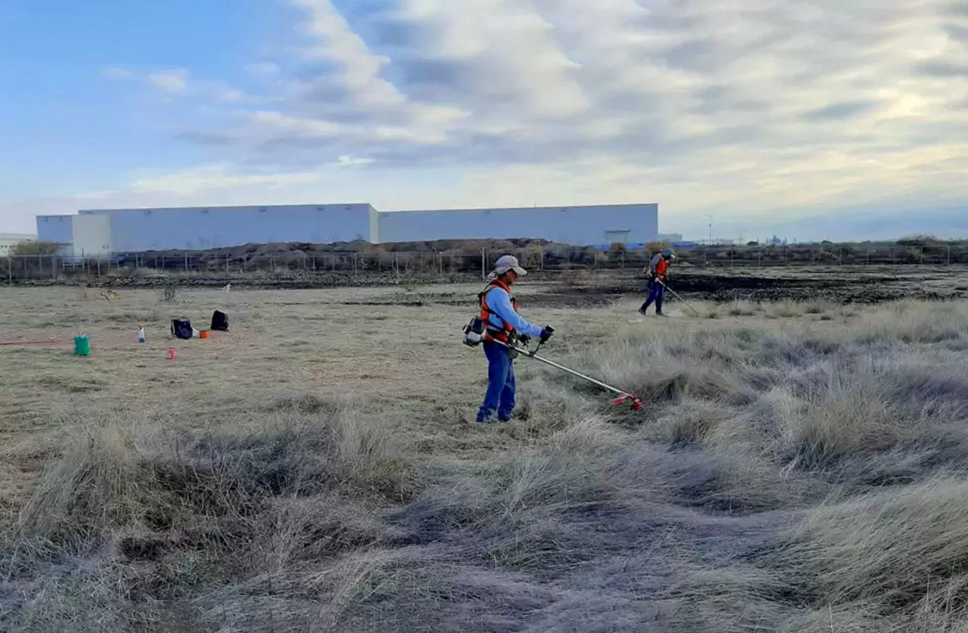 poda de cesped en área verde