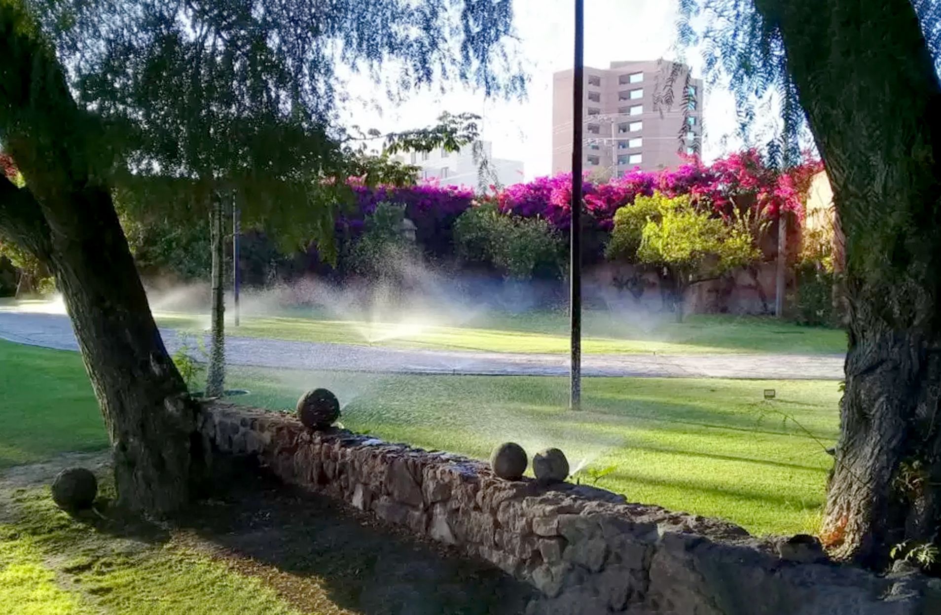 sistema de riego en jardin