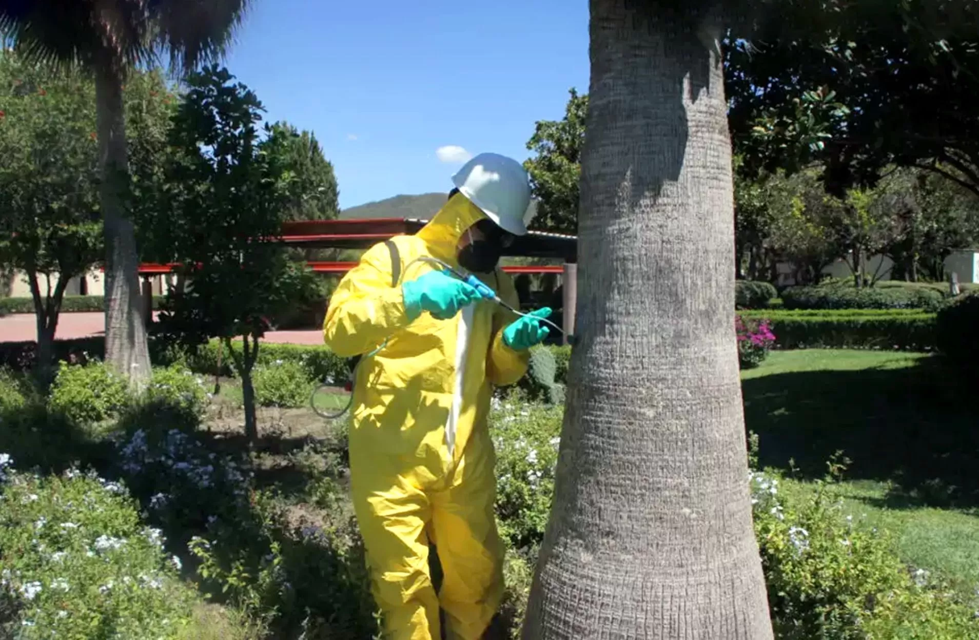 Sujeto realizando práctica de Endoterapia
