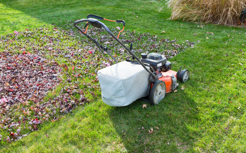 Jardines para constructoras en SLP