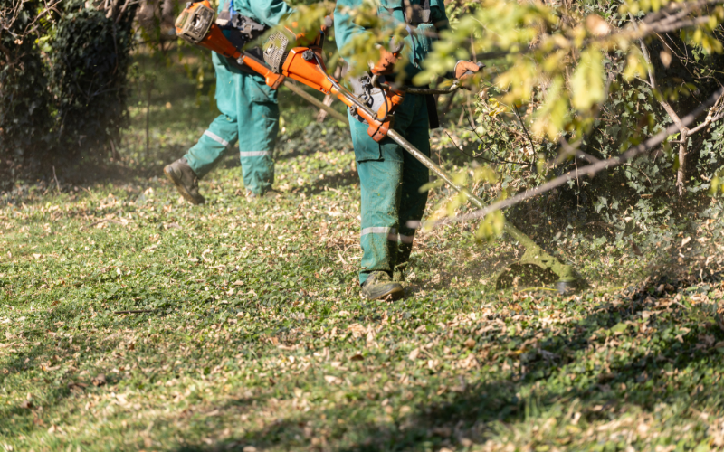 Checklist de mantenimiento para jardín empresarial en San Luis Potosí